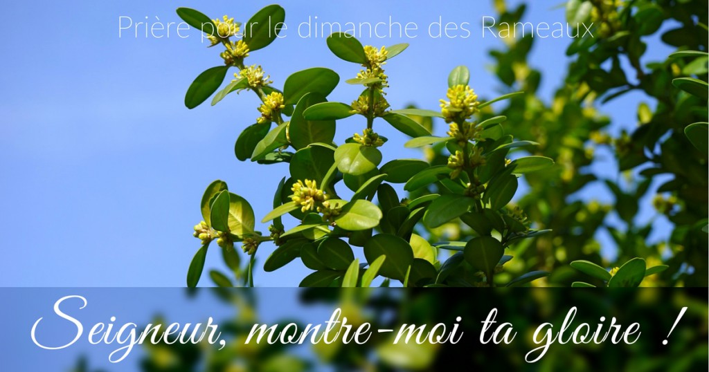 image Nos Jeudis en cœur à coeur